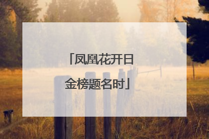 凤凰花开日 金榜题名时