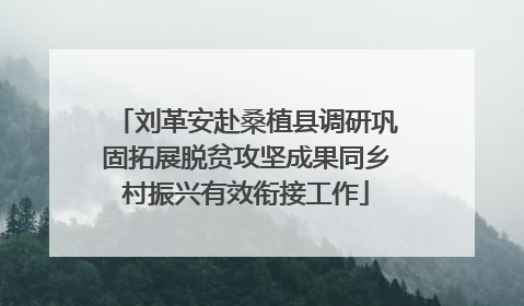 刘革安赴桑植县调研巩固拓展脱贫攻坚成果同乡村振兴有效衔接工作