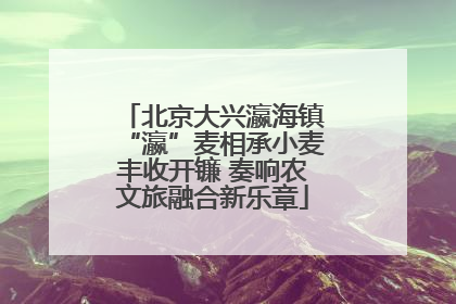 北京大兴瀛海镇“瀛”麦相承小麦丰收开镰 奏响农文旅融合新乐章
