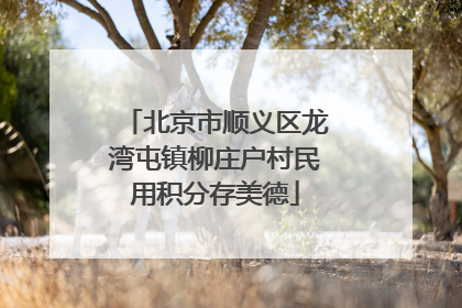北京市顺义区龙湾屯镇柳庄户村民用积分存美德