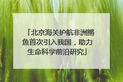 北京海关护航非洲鳉鱼首次引入我国，助力生命科学前沿研究