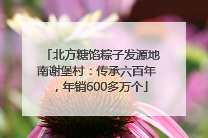 北方糖馅粽子发源地南谢堡村：传承六百年，年销600多万个