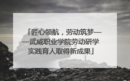 匠心领航，劳动筑梦——武威职业学院劳动研学实践育人取得新成果