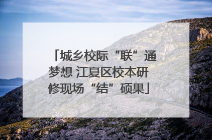 城乡校际“联”通梦想 江夏区校本研修现场“结”硕果