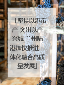 坚持以港带产 突出以产兴城 兰州陆港加快推进一体化融合高质量发展
