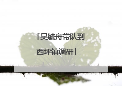 吴毓舟带队到西坪镇调研
