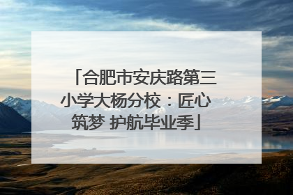 合肥市安庆路第三小学大杨分校：匠心筑梦 护航毕业季
