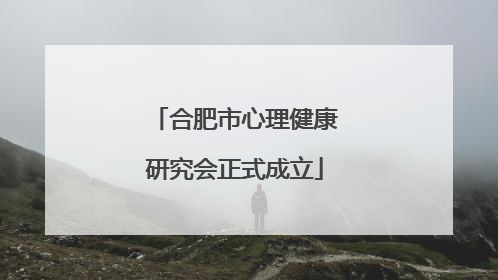 合肥市心理健康研究会正式成立