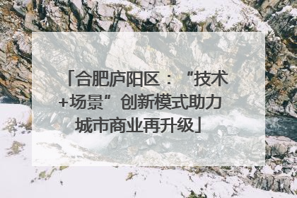 合肥庐阳区：“技术+场景”创新模式助力城市商业再升级