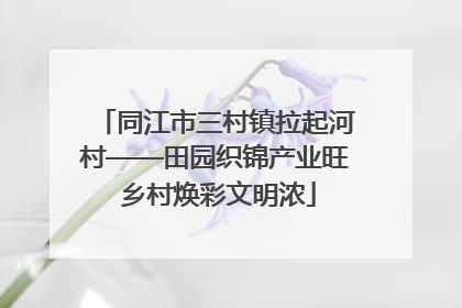 同江市三村镇拉起河村——田园织锦产业旺 乡村焕彩文明浓