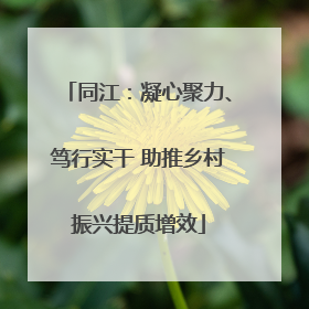 同江：凝心聚力、笃行实干 助推乡村振兴提质增效