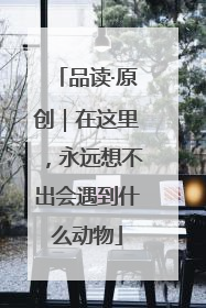 品读·原创｜在这里，永远想不出会遇到什么动物