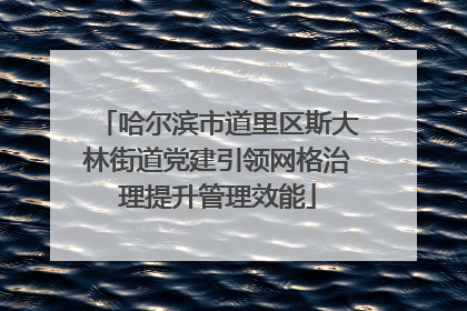 哈尔滨市道里区斯大林街道党建引领网格治理提升管理效能