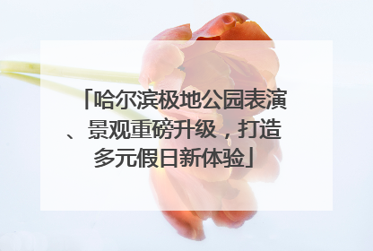 哈尔滨极地公园表演、景观重磅升级，打造多元假日新体验