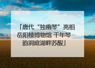 唐代“独幽琴”亮相岳阳楼博物馆 千年琴韵洞庭湖畔苏醒