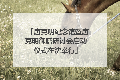 唐克明纪念馆暨唐克明御膳研讨会启动仪式在沈举行