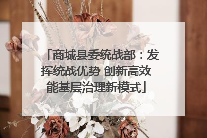 商城县委统战部：发挥统战优势 创新高效能基层治理新模式