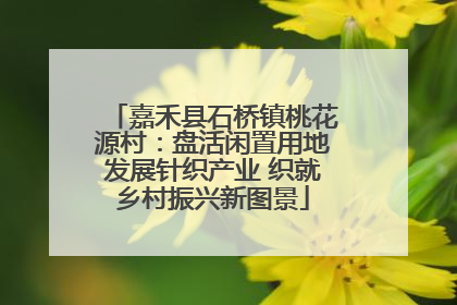 嘉禾县石桥镇桃花源村：盘活闲置用地发展针织产业 织就乡村振兴新图景