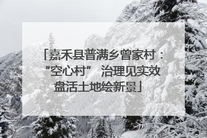 嘉禾县普满乡曾家村：“空心村” 治理见实效 盘活土地绘新景