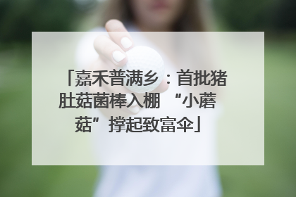 嘉禾普满乡：首批猪肚菇菌棒入棚 “小蘑菇”撑起致富伞