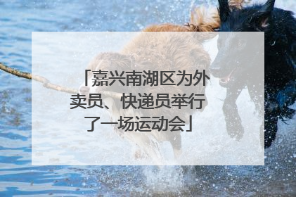 嘉兴南湖区为外卖员、快递员举行了一场运动会
