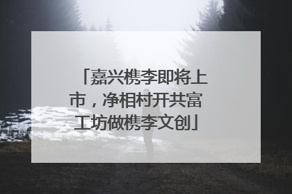 嘉兴槜李即将上市，净相村开共富工坊做槜李文创