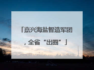 嘉兴海盐智造军团，全省“出圈”