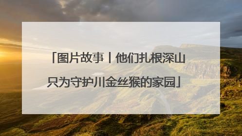 图片故事丨他们扎根深山 只为守护川金丝猴的家园