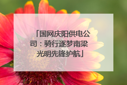 国网庆阳供电公司：骑行逐梦南梁 光明先锋护航