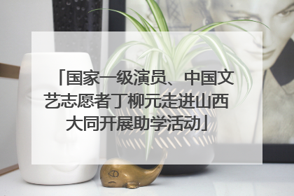 国家一级演员、中国文艺志愿者丁柳元走进山西大同开展助学活动