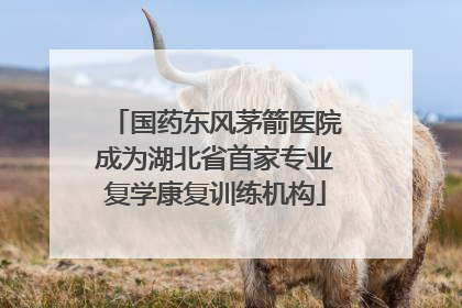 国药东风茅箭医院成为湖北省首家专业复学康复训练机构