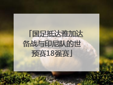 国足抵达雅加达备战与印尼队的世预赛18强赛