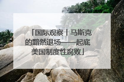 国际观察丨马斯克的黯然退场——起底美国制度性腐败