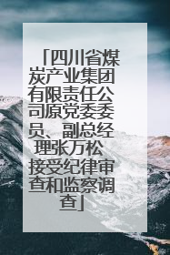 四川省煤炭产业集团有限责任公司原党委委员、副总经理张万松 接受纪律审查和监察调查