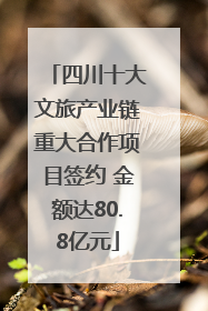 四川十大文旅产业链重大合作项目签约 金额达80.8亿元