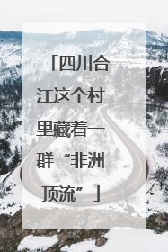 四川合江这个村里藏着一群“非洲顶流”