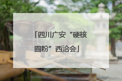 四川广安“硬核圈粉”西洽会