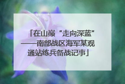 在山巅“走向深蓝”——南部战区海军某观通站练兵备战记事