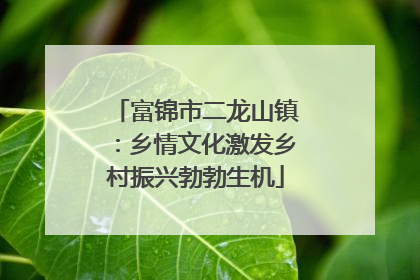 富锦市二龙山镇：乡情文化激发乡村振兴勃勃生机