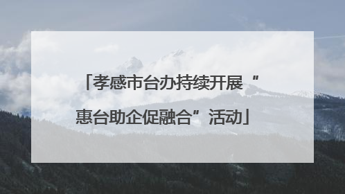 孝感市台办持续开展“惠台助企促融合”活动