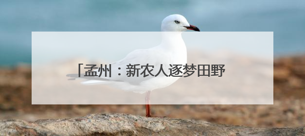 孟州：新农人逐梦田野 绘就乡村振兴“丰收曲”