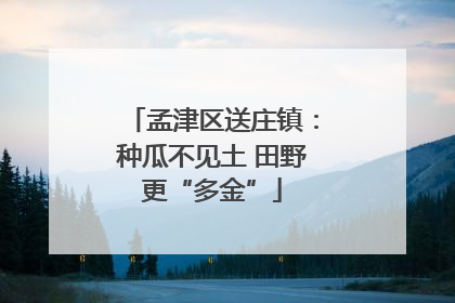 孟津区送庄镇：种瓜不见土 田野更“多金”