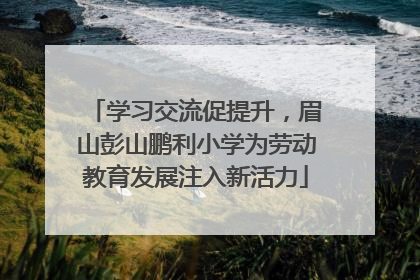 学习交流促提升，眉山彭山鹏利小学为劳动教育发展注入新活力
