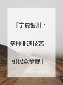 宁夏银川：多种非遗技艺引民众参观
