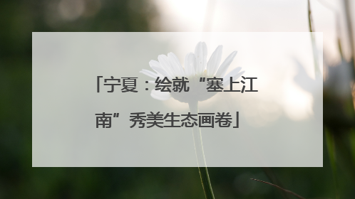 宁夏：绘就“塞上江南”秀美生态画卷