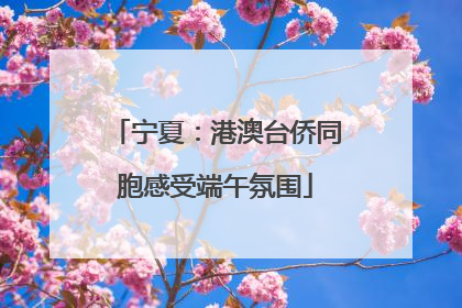 宁夏：港澳台侨同胞感受端午氛围