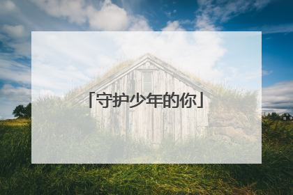 守护少年的你