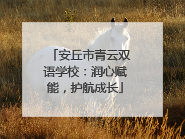 安丘市青云双语学校：润心赋能，护航成长