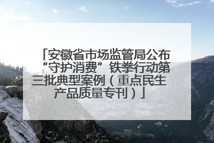 安徽省市场监管局公布“守护消费”铁拳行动第三批典型案例（重点民生产品质量专刊）