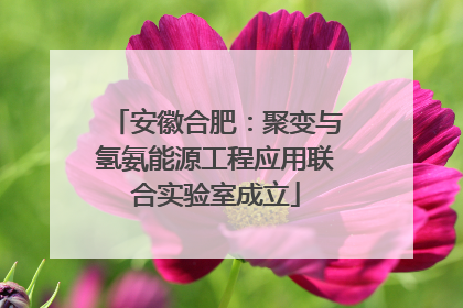 安徽合肥：聚变与氢氨能源工程应用联合实验室成立